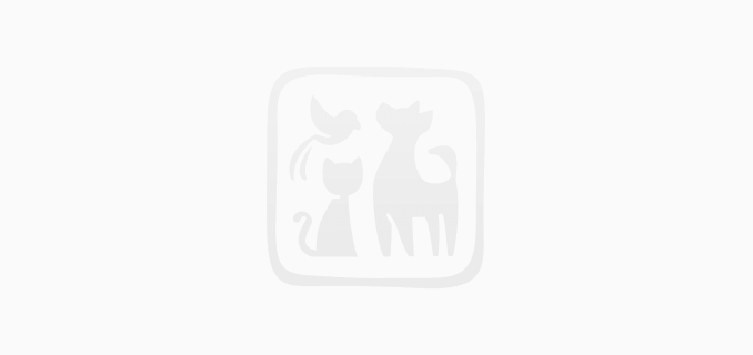 Скидка на влажные корма паучи для собак и кошек Eukanuba